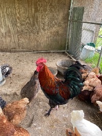 MadisonCreekFarm22514